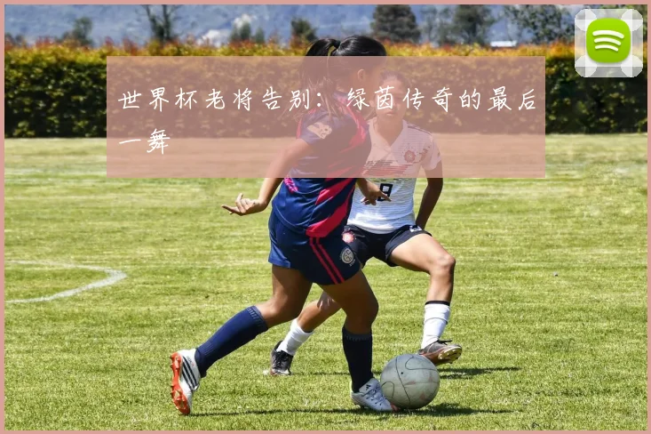 世界杯老将告别：绿茵传奇的最后一舞